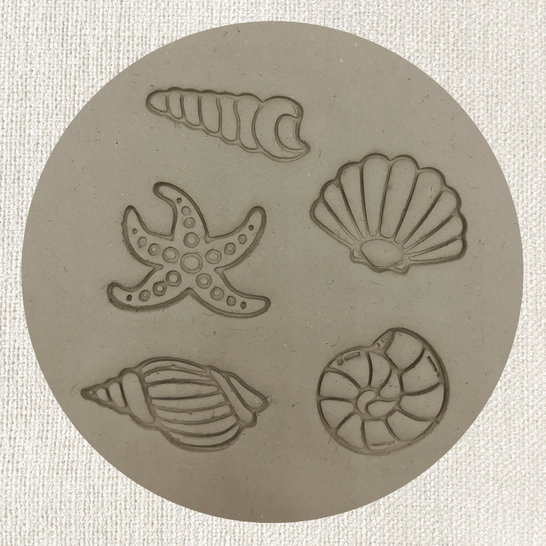 5er Set Muscheln