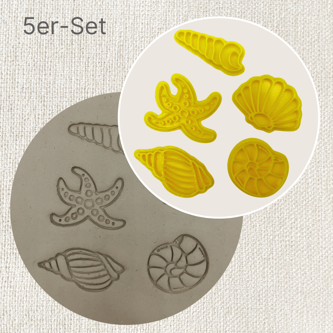 5er Set Muscheln