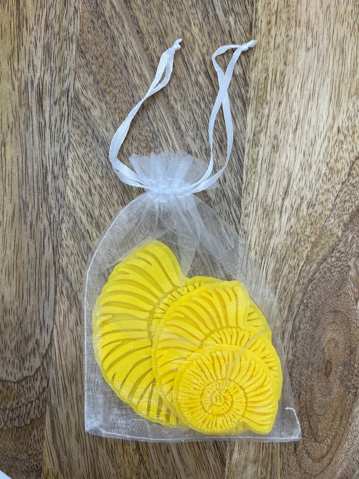 3er Set Ammoniten - Tonstempel und Überformen Shop für Töpferware