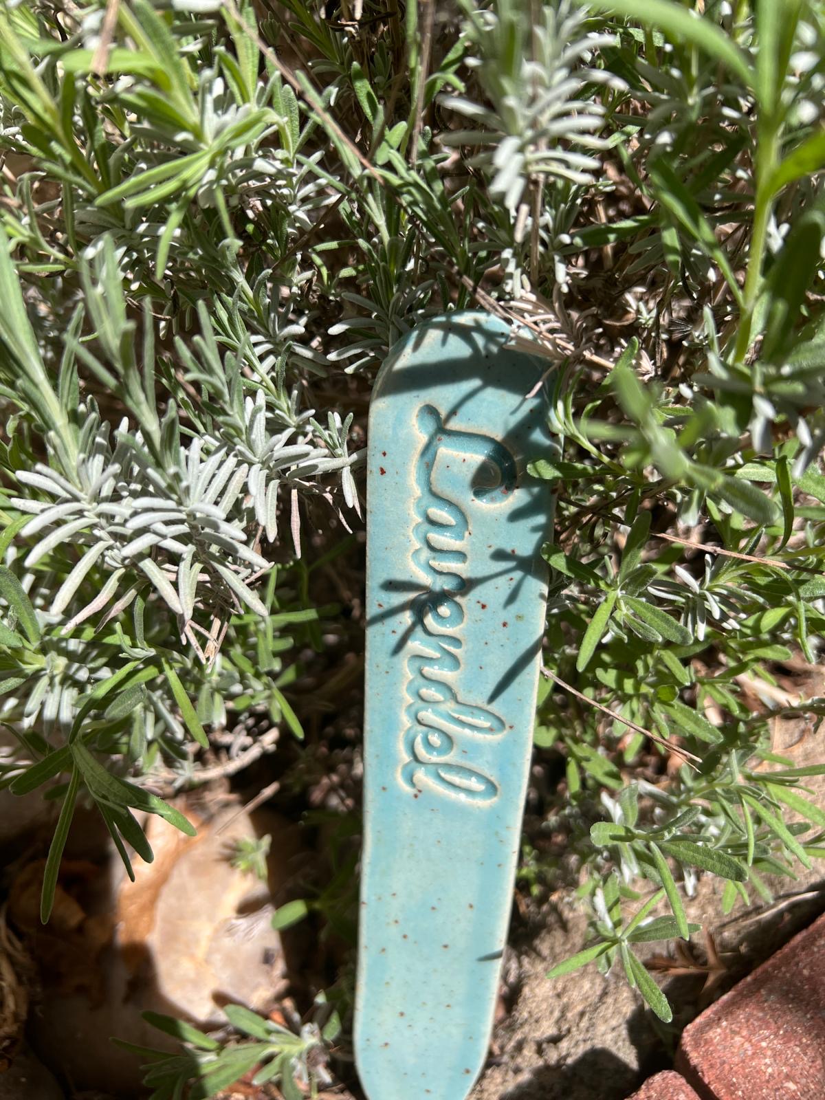 Tampons Herbes/Légumes - À partir de 8 pièces SEULEMENT 3,90 €/pièce