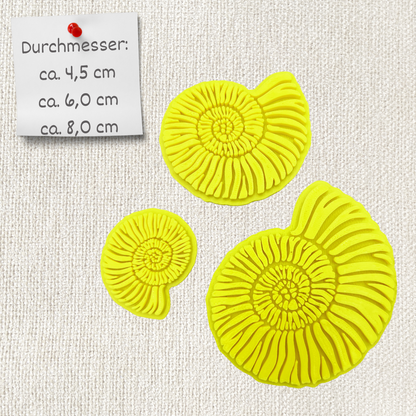 3er Set Ammoniten