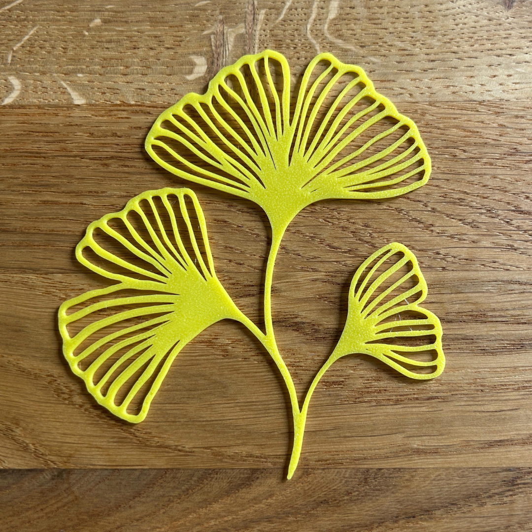 Gingko