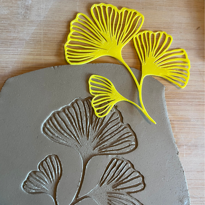 Ginkgo